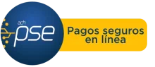 pse-logo